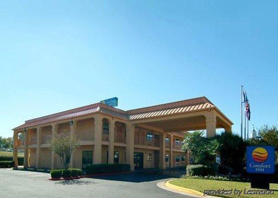 Quality Inn Near Casinos And Convention Center Bossier City Ngoại thất bức ảnh